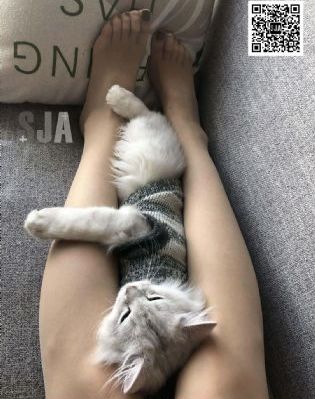 tk怕痒体育男生大脚_高清免费全集观看
